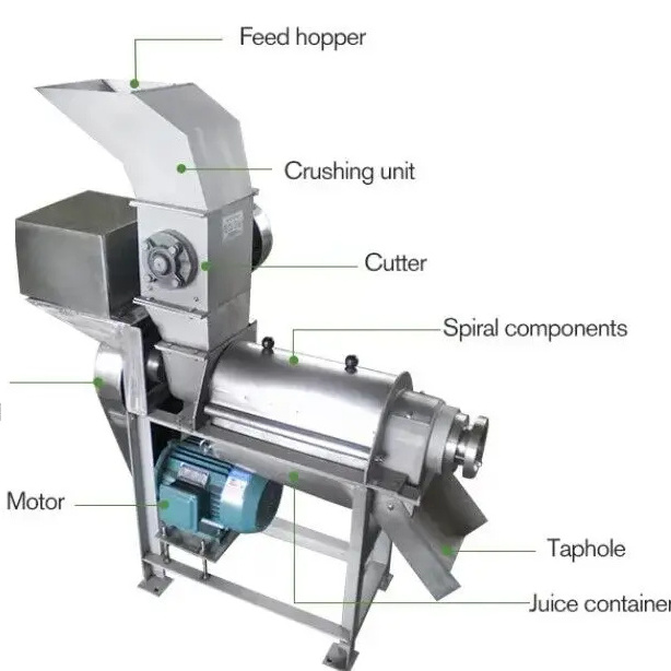 Industrial cold press apple coconut ginger pineapple screw crusher and juicer machine/spiral crushing and juicing machine