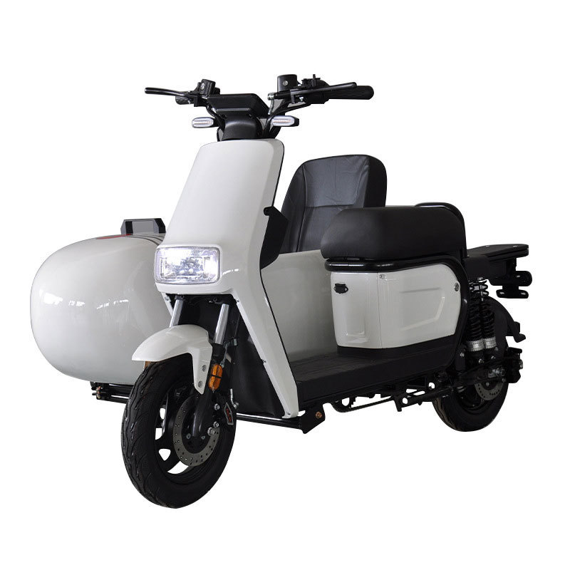 China lowest price 3 Wheel Electric Motorcycle Trikes car For Adult