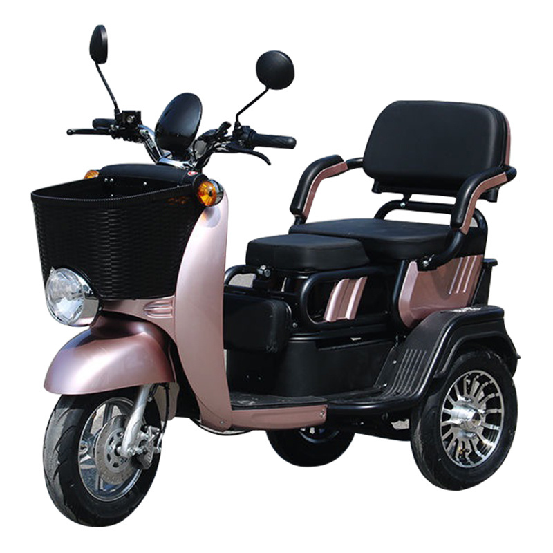 2022 Best 3 Wheel Passenger Tricycle Two Seat  48v Electric Tricycle Bike For Adults And Old People