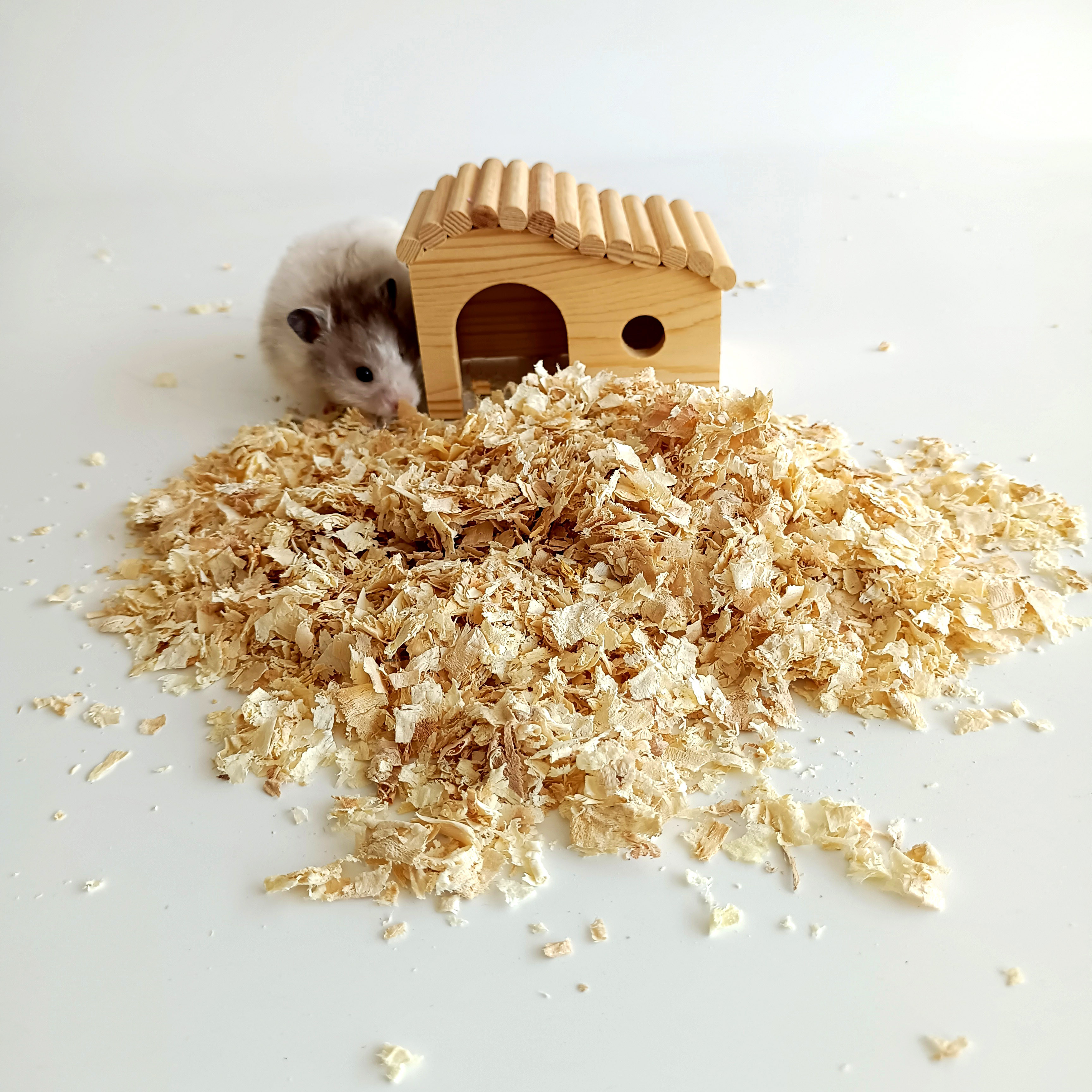 Pets Pick Best Animal Product Manufacturer Aspen Small Bedding Hamster Wood Shavings Bedding Cheap