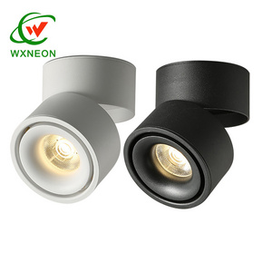 Spotlight Lamp COB Ceiling Spots Focus Led Downlights Foldable Fixture Lights Indoor Lighting for Home