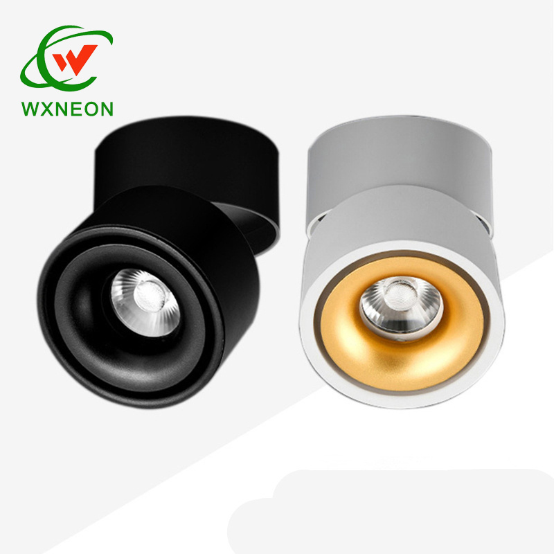 Spotlight Lamp COB Ceiling Spots Focus Led Downlights Foldable Fixture Lights Indoor Lighting for Home