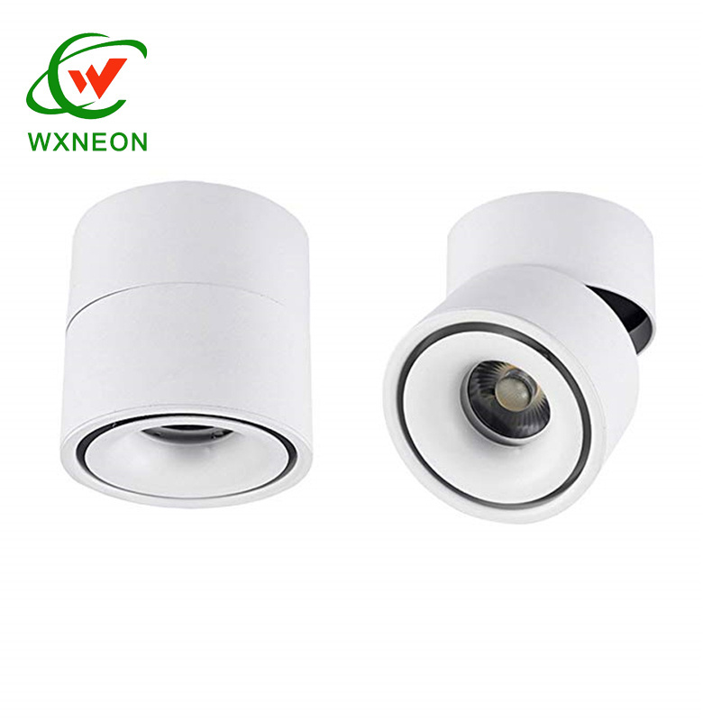 LED Ceiling Light Surface Mounted 360 Degrees Rotation Lamp Cylinder 10W COB Spot Light