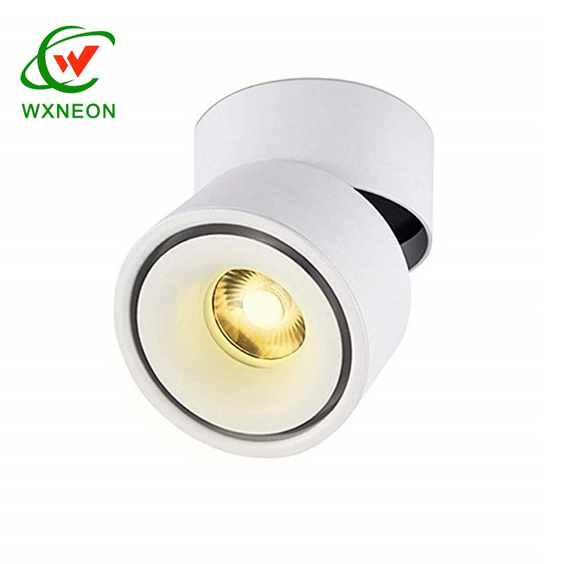 Spotlight Lamp COB Ceiling Spots Focus Led Downlights Foldable Fixture Lights Indoor Lighting for Home