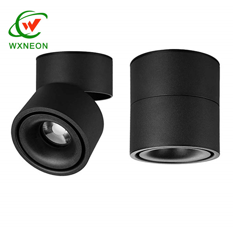 LED Ceiling Light Surface Mounted 360 Degrees Rotation Lamp Cylinder 10W COB Spot Light