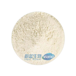 Pure Organic 90% Soy Protein Isolate Powder High Concentration Food Additive