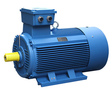 2 Poles 500 hp IE3 Standard Three Phase Asynchronous Motor 15KW