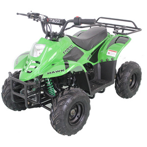 manufacture 49cc70cc 110cc  mini quad kids  atv 49cc mini quad atv for kids