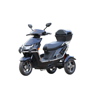 Best Quality Hot Sale Customized Rickshaw Car Tricycle Adult Electric Tricycles For Two People