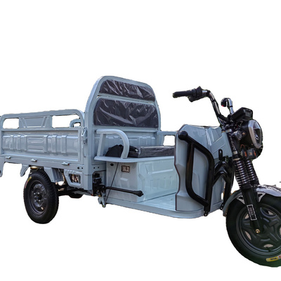 Factory Direct Sale 750w fat tire electric trike 3 wheel electric tricycle 48v Electric Tricycle