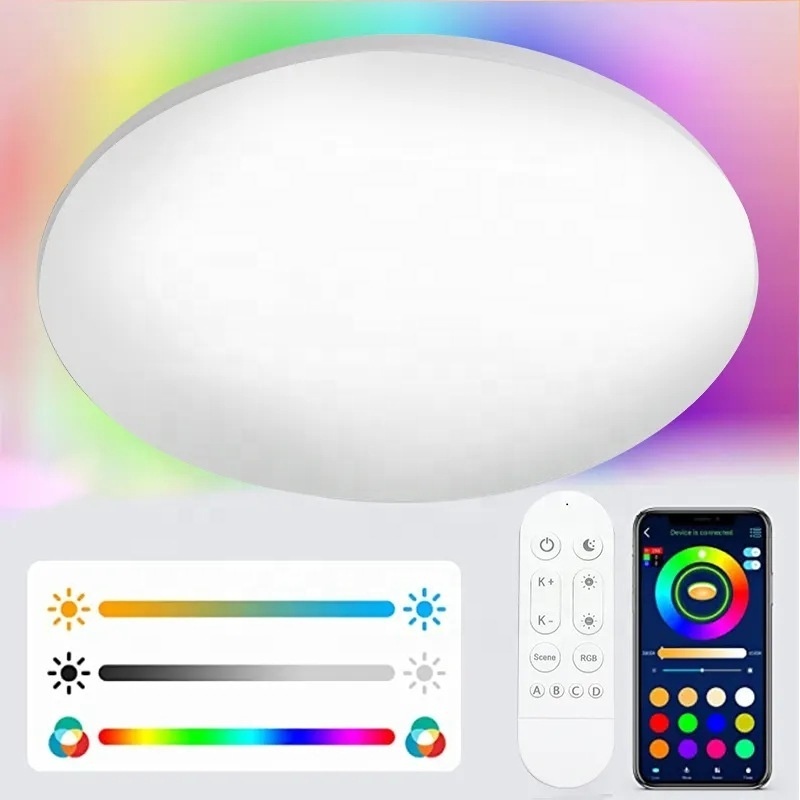 Modern Smart Ceiling Lamps 220V RGBCW CCT Bluetooth WIFI APP Voice Control with Alexa Google Smart Home Led Lights