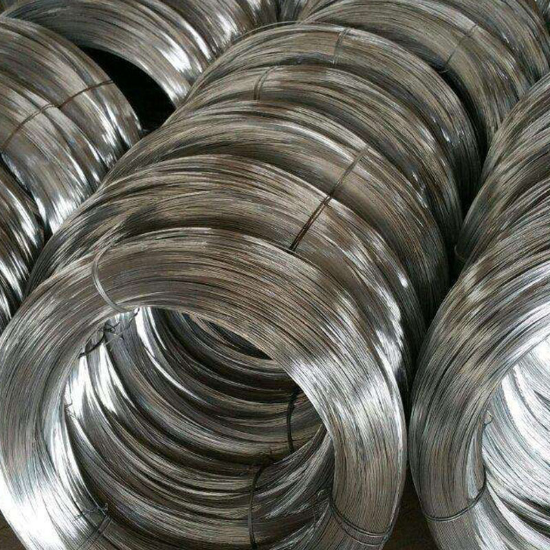 Coated Lock Wire Slings Wire Rope Braid Loop Stainless Steel 1*7 Galvanized within 7 Days Stainless Steel Cable 316 Sus 304 Rope