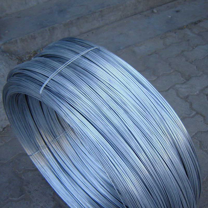 Coated Lock Wire Slings Wire Rope Braid Loop Stainless Steel 1*7 Galvanized within 7 Days Stainless Steel Cable 316 Sus 304 Rope