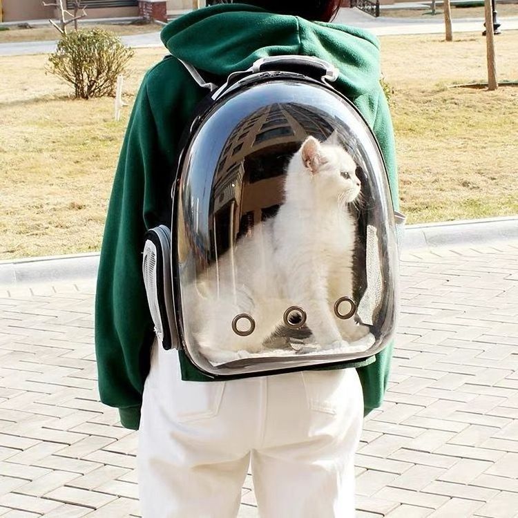 Wholesale cheap transparent pet backpacks, cat backpacks, travel bags