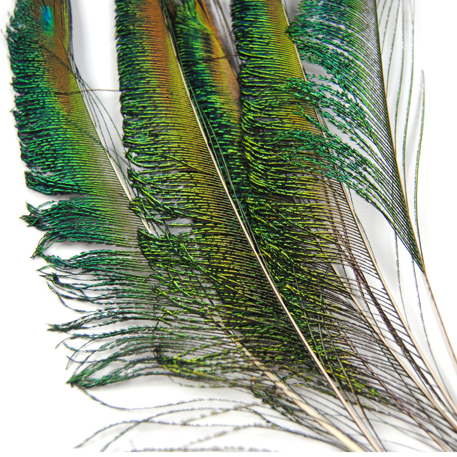 Natural Peacock Herl Feather Wire Fly Tying Material Olive Green Fly Fishing Lure Bait Nymphs Streamers Flies Accessories