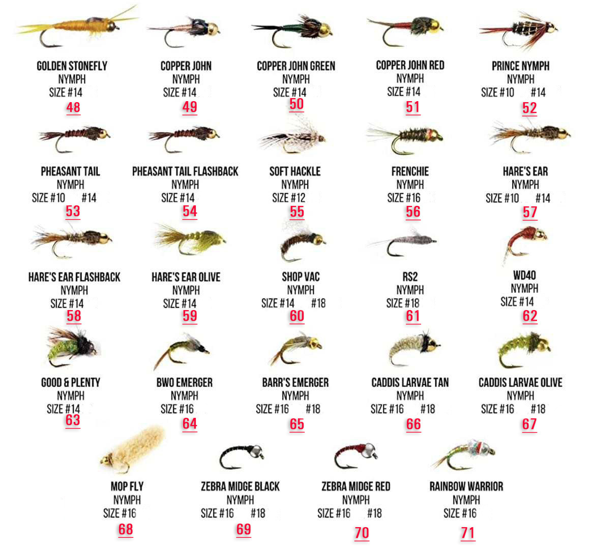 Dry fly Floating Foam beetles Fly Stimulator Trout Parachute Caddis Royal Wulff Mayfly Wooly Bugger Ginger Quill Fishing Flies