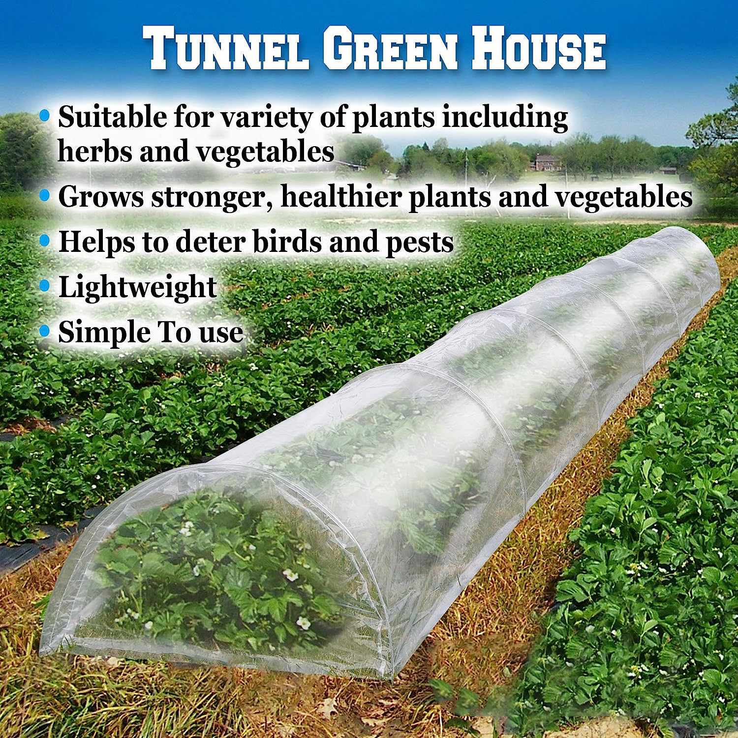 300x45x30cm Factory Supplied long tunnel mini-greenhouse greenhouses for above ground plants automated greenhouse