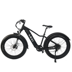 Fat ebike sand offroad beach cruiser electric mountain fat bike 500W 48V emtb Pedal Assist Ebike with CE certificate