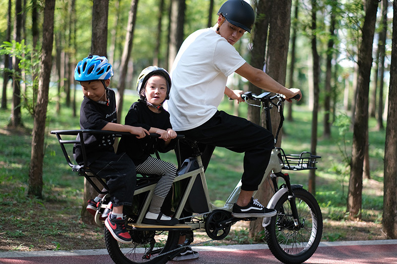 Large Kids' seat Electric Cargo Bicycle Dual Battery Packs E-Cargo e-Bike Long Range Electric Bike