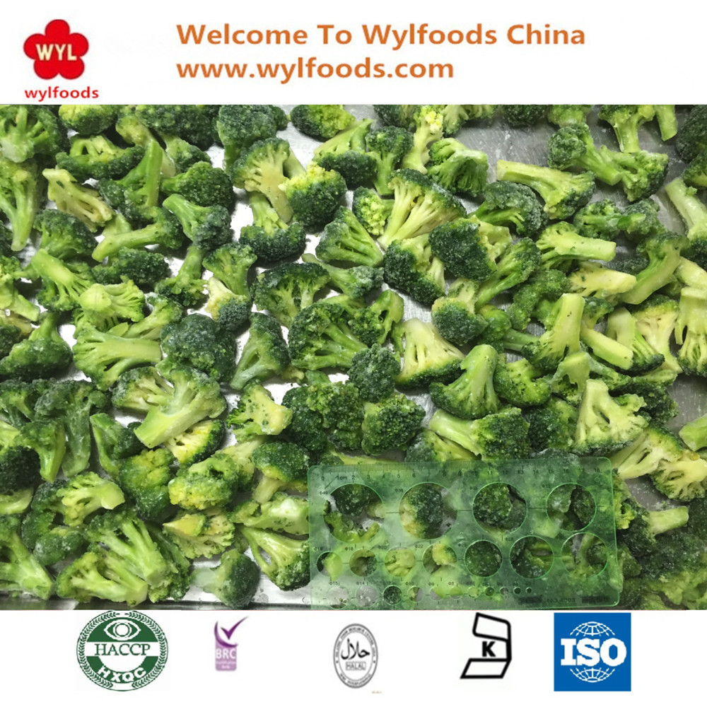 Premium Grade Healthy Frozen Chinese Broccoli Frozen Broccoli Stem Export IQF Broccoli Floret 10-20mm Ideal for Global Traders