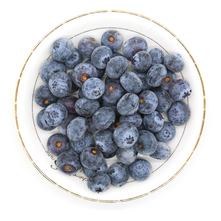 Frozen Blueberry  2022 new crop IQF Blueberry at wholesale price