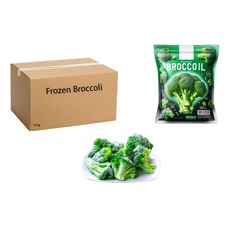 Premium Grade Healthy Frozen Chinese Broccoli Frozen Broccoli Stem Export IQF Broccoli Floret 10-20mm Ideal for Global Traders