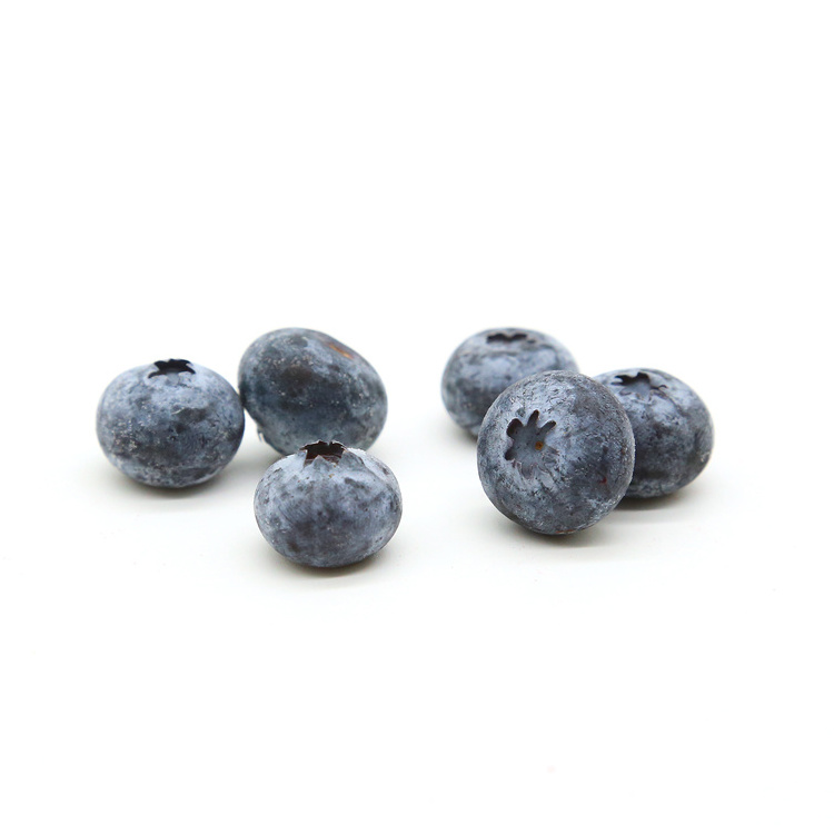 Frozen Blueberry  2022 new crop IQF Blueberry at wholesale price