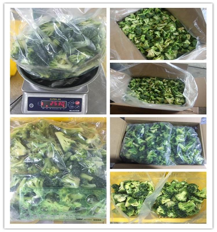 Bulk Blanching IQF frozen broccoli price freezing broccoli chopped florets vegetables