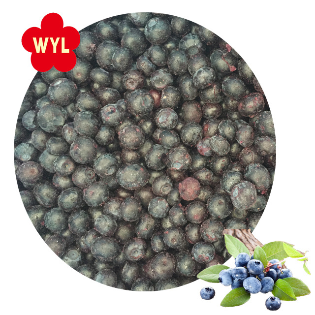 IQF Frozen blueberry fruits for Wholesales with Best Price  Good Quality IQF Frozen blueberry