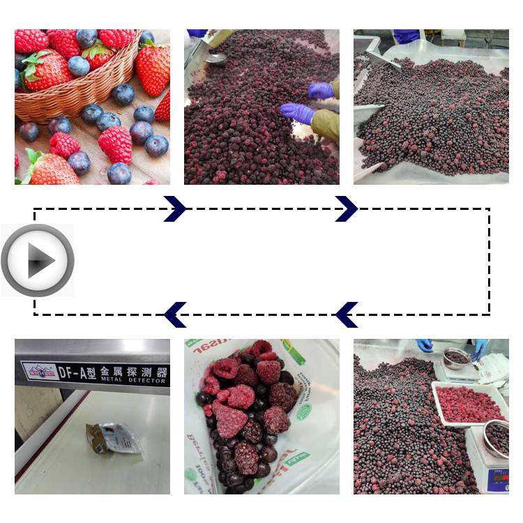 China new crop frozen fruit IQF mixed berries include blackberry raspberry strawberry blueberry for retails