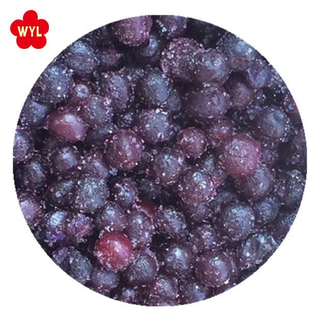 IQF Frozen blueberry fruits for Wholesales with Best Price  Good Quality IQF Frozen blueberry