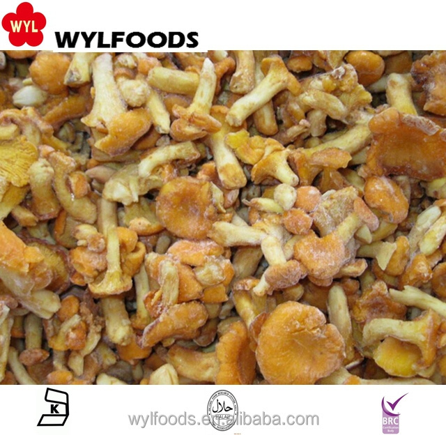 high quality hot sale IQF frozen chanterelle mushroom