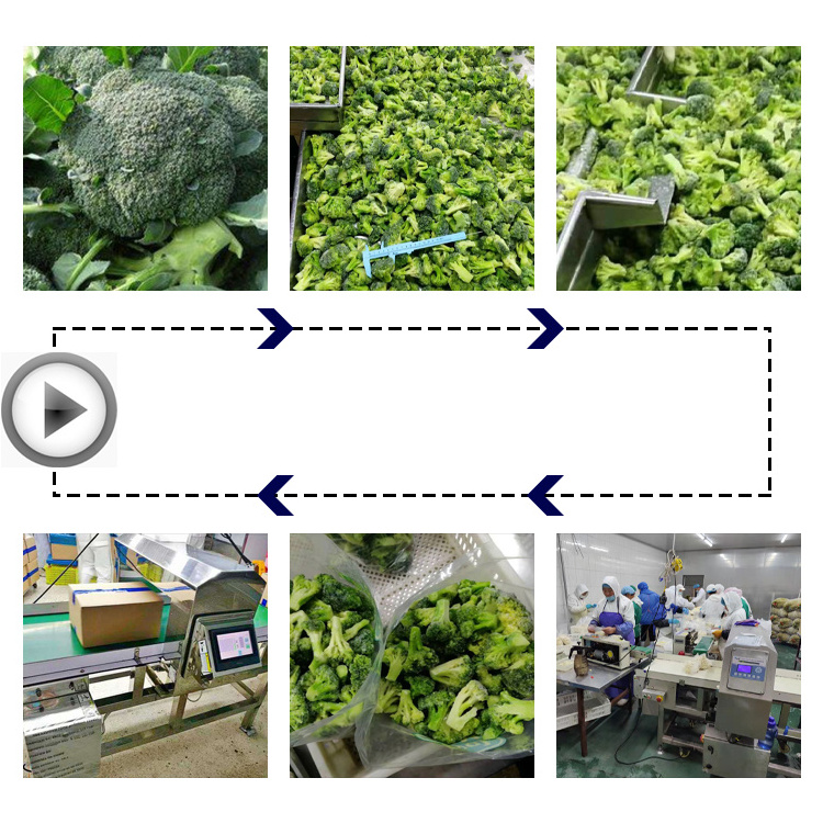 Bulk Blanching IQF frozen broccoli price freezing broccoli chopped florets vegetables