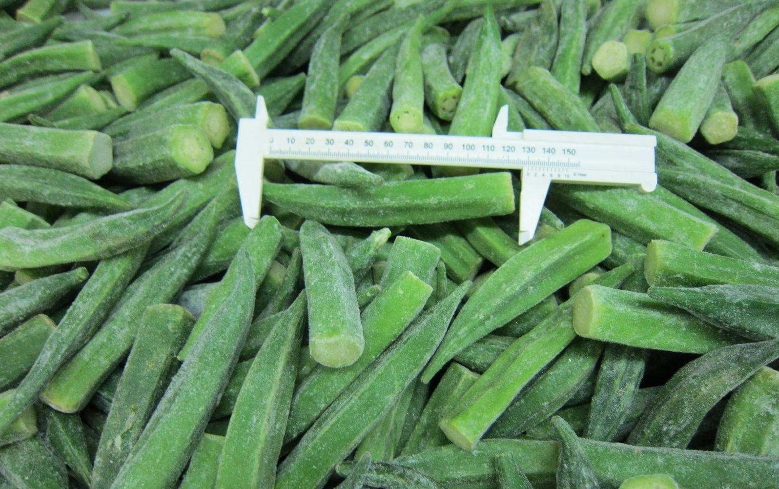 Bulk Supply Organic Frozen Grounded Okra for Retail Chain and Food Service Industry frozen okra