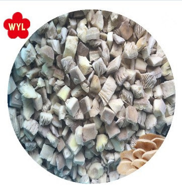 New crop best quality IQF oyster mushroom frozen  oyster mushroom iqf mushroom