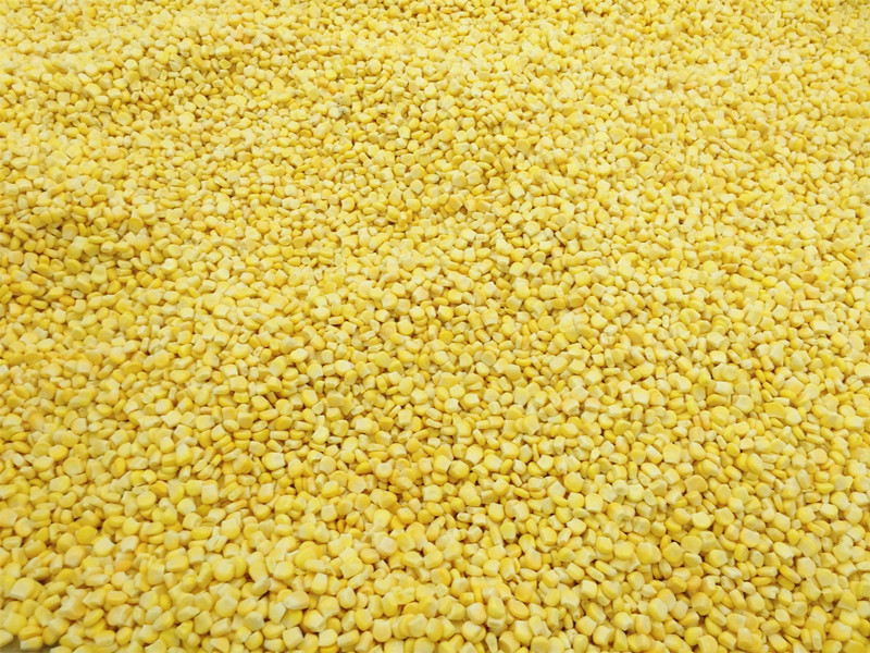 High-quality Pass Halal Chinese Vegetable IQF Frozen Sweet Yellow Corn