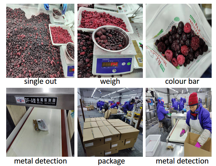 China supplier  frozen mixed berries cheap price frozen berries fruits strawberry blueberry raspberry blackberry