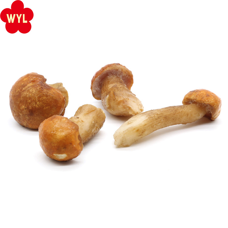 BRC Boletus edulis Certified Classic IQF Frozen OEM Bulk Style Packaging Pack Wave Cooking Weight CIF SHELF Boletus