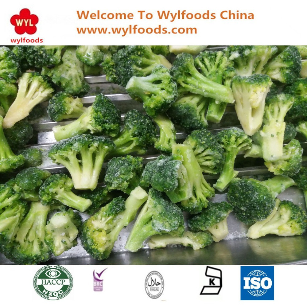 Premium Grade Healthy Frozen Chinese Broccoli Frozen Broccoli Stem Export IQF Broccoli Floret 10-20mm Ideal for Global Traders