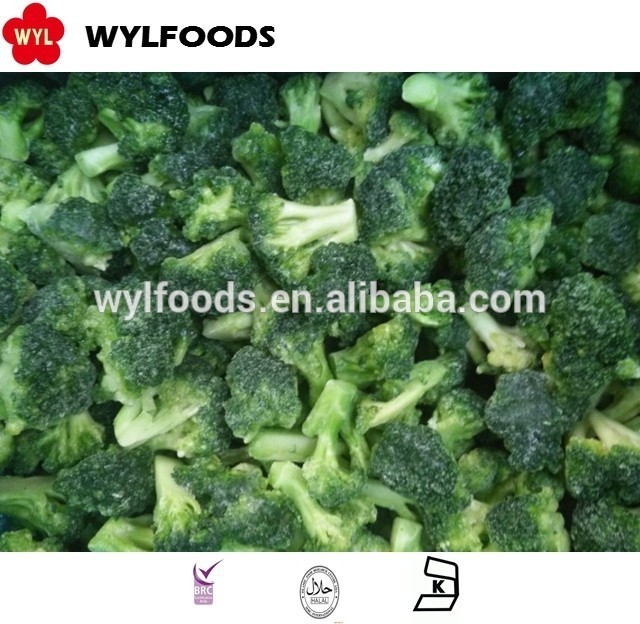 Premium Grade Healthy Frozen Chinese Broccoli Frozen Broccoli Stem Export IQF Broccoli Floret 10-20mm Ideal for Global Traders