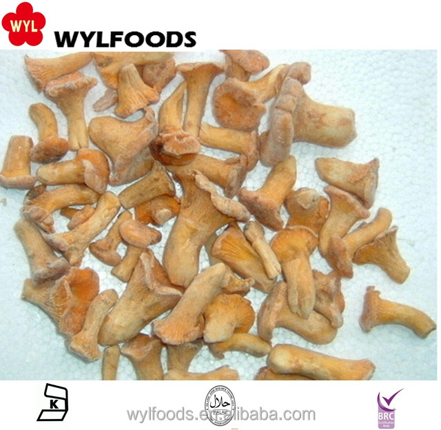 high quality hot sale IQF frozen chanterelle mushroom