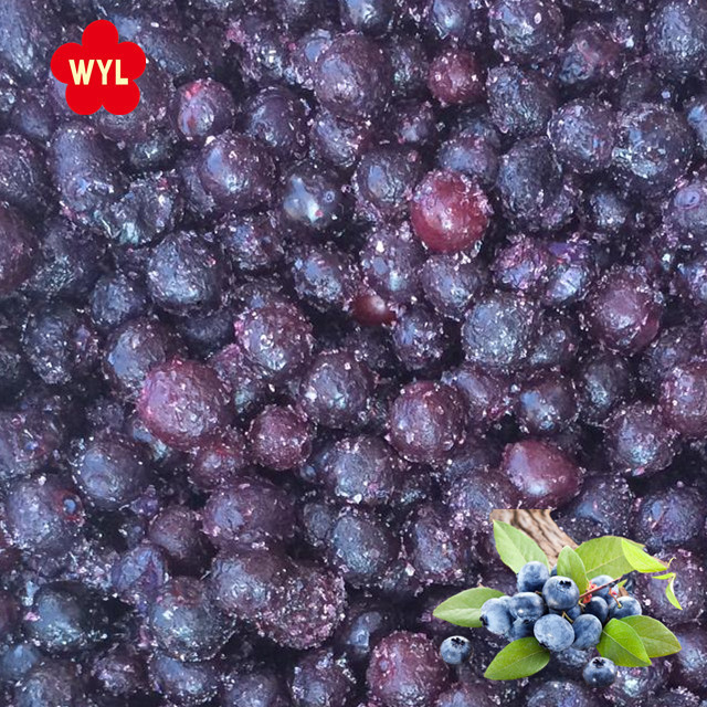 IQF Frozen blueberry fruits for Wholesales with Best Price  Good Quality IQF Frozen blueberry