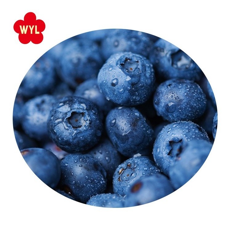 IQF Frozen blueberry fruits for Wholesales with Best Price  Good Quality IQF Frozen blueberry