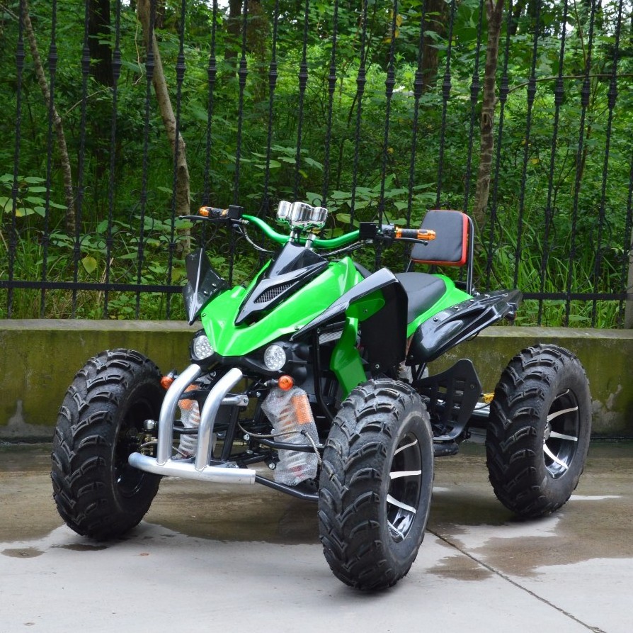 Hot Sell  2200W ATV 4 Wheelers Electric ATV Quad For Adult