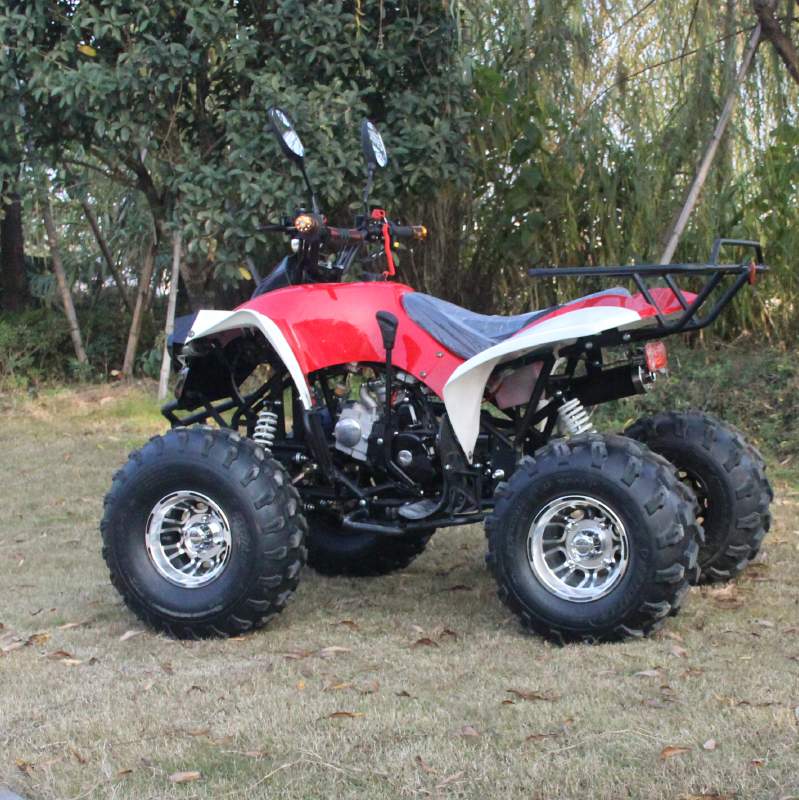 2019 high quality  125cc ATV Bike 4 Wheeler ATV Quad