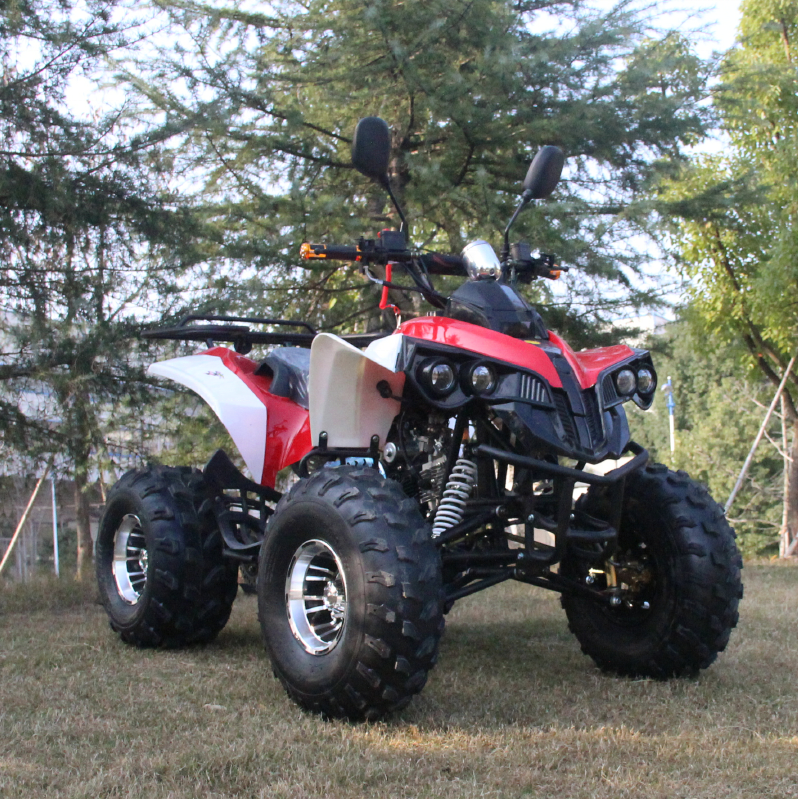 2019 high quality  125cc ATV Bike 4 Wheeler ATV Quad