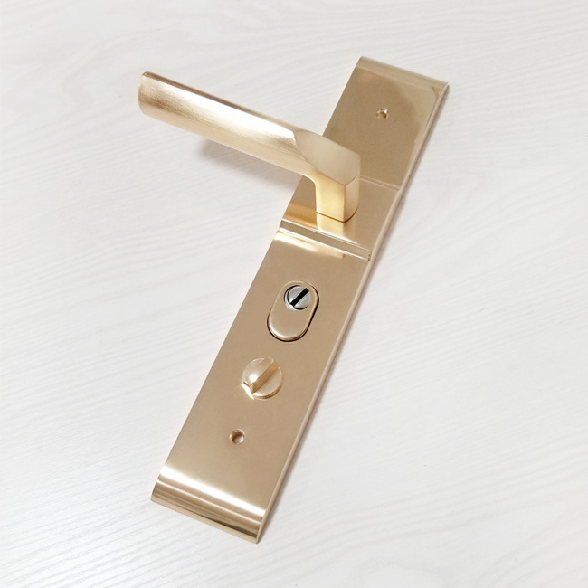 High Quality Luxury Zinc Alloy Lever Handle Hot Fashion Indoor Steel Door Lock Plate with Solid Lever Handle for Door