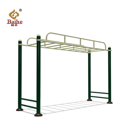 Outdoor Body Strong Fitness Equipment monkey bars horizontal ladder