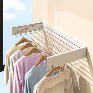 New Year style 2024 Outdoor wall mounted adjustable foldable metal clothes Drying Hanging Rack with hook