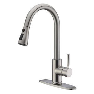 Single Handle High Arc Brushed Nickel Pull Out Kitchen bathroom faucet accessories Single Level Stainless Steel